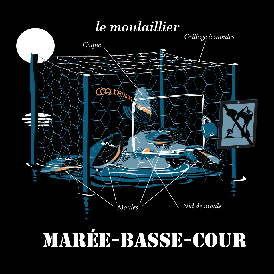 MARÉE-BASSE-COUR