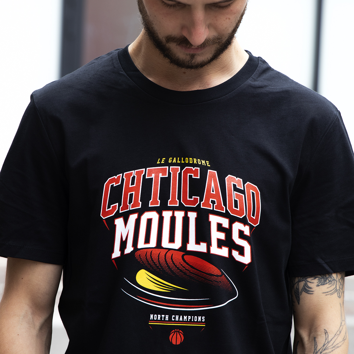 CHTICAGO MOULES