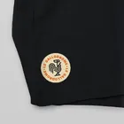 FLANDERS RIDERS