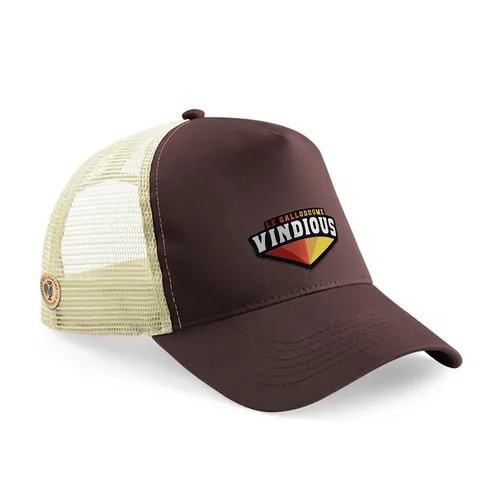 VINDIOUS